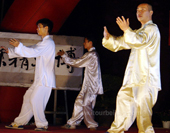 Playing Tai-chi