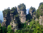 The Mountains in the Forest