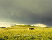 The Photo of Grassland under the Sky