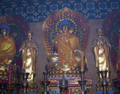 The Photo in Shaolin Temple