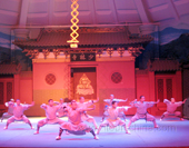 The Photo of A Group Show with Martial Art