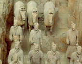 The Picture of Terra-Cotta Warriors