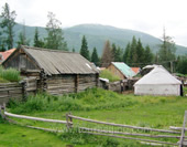 The Photo of Southern Pasture