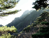 Overlook the Green Mountain