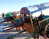 The Ancient Car of Inner Mongolia