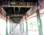 The Long Corridor  