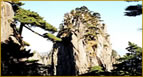 The Yellow Mountain